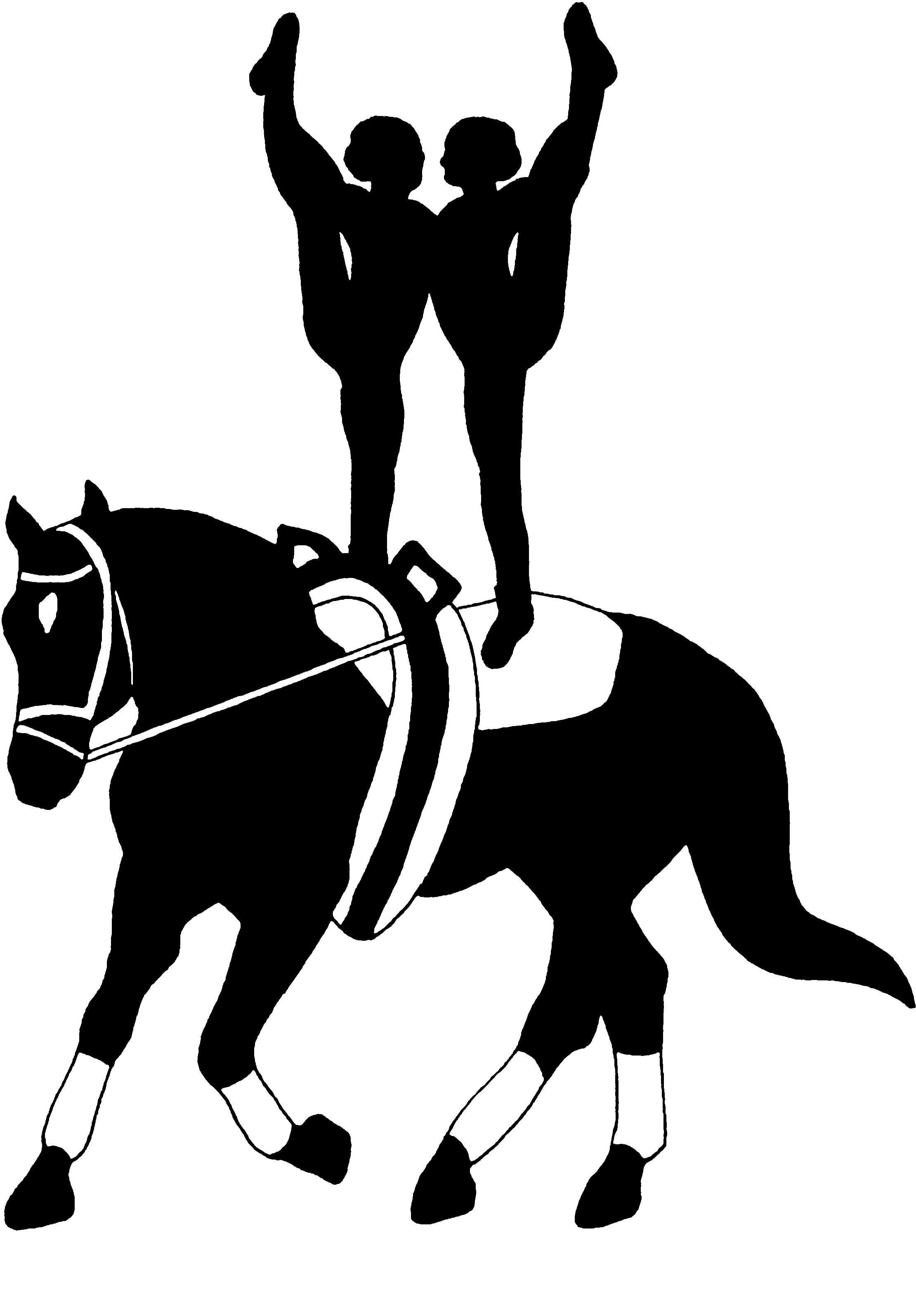 Image Vaulters